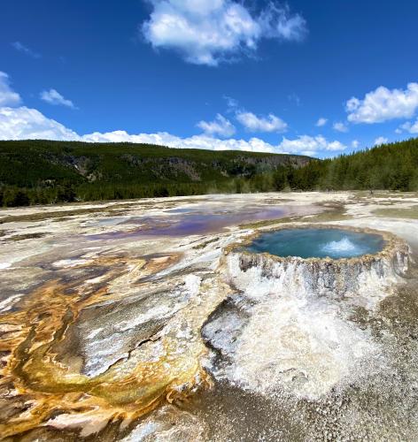 Yellowstone NP, Wyoming, USA