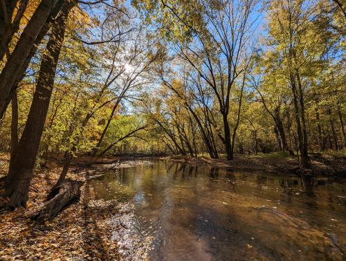 Fall along the Red Cedar, Okemos, MI.