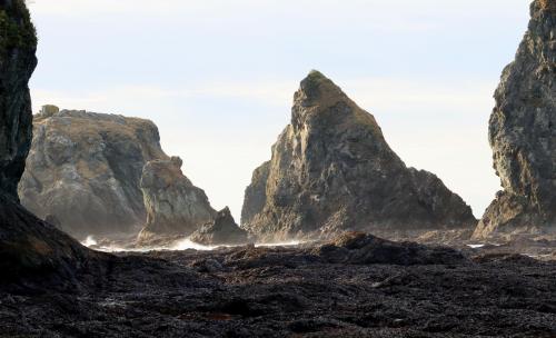 Near Point of the Arches - Shi Shi Beach, Neah Bay, WA