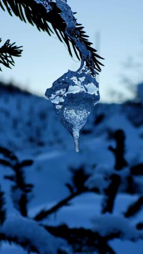 Ice and water, their difference resolved are friends again ~Teishitsu... Nationalpark Harz Germany
