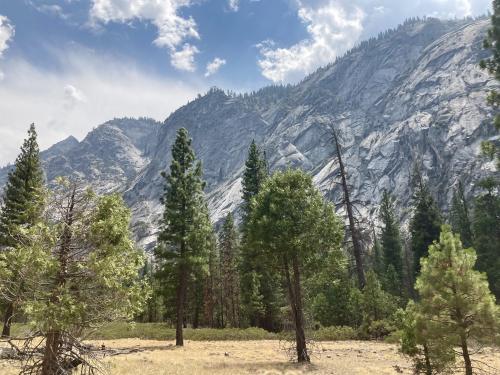 Kings Canyon National Park, California USA