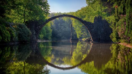 Gray Bridge and Trees