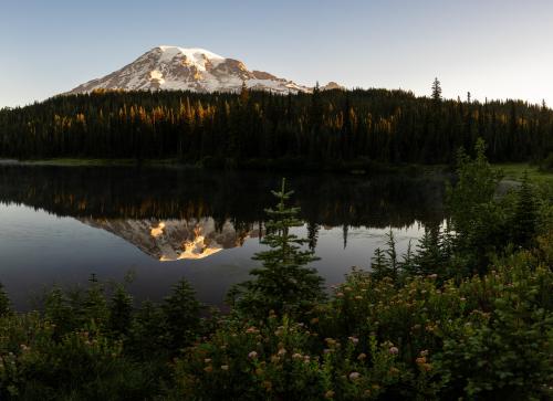 Mount Rainier at Sunrise