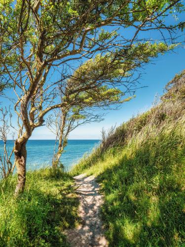 The fresh breeze of the Baltic Sea, Heiligenhafen, Germany