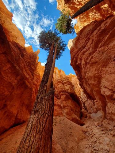 Bryce Canyon, Utah