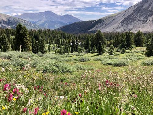 Mt Yale, Colorado