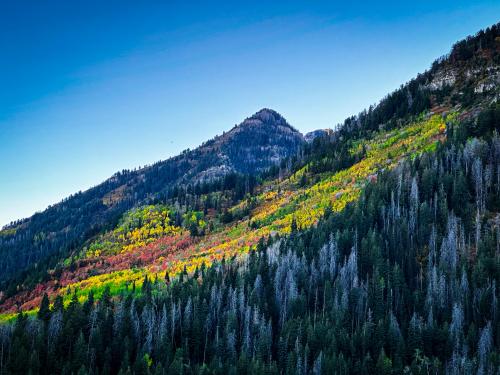 Mount Timpanogos, Utah, USA