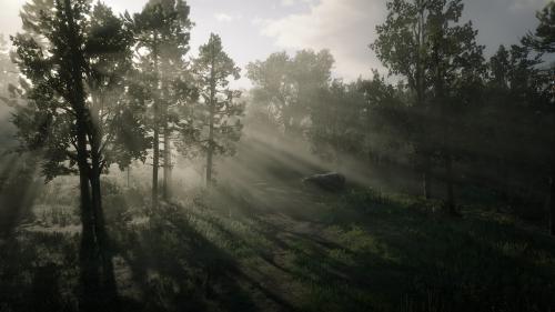 Red Dead Redemption 2 Screen