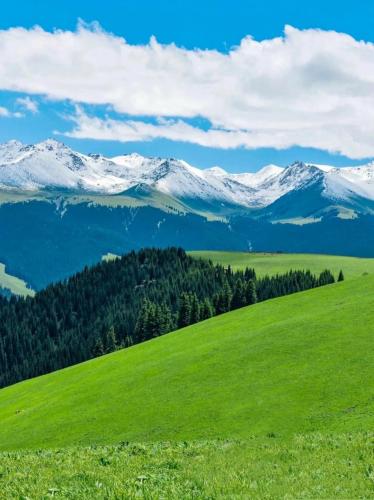 Tohurasu grassland, wind-blown summer