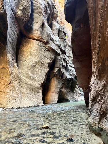 The Narrows, Zion National Park