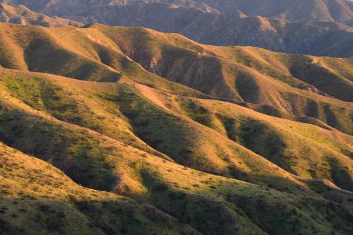 The green hills of Santa Clarita, California, in springtime