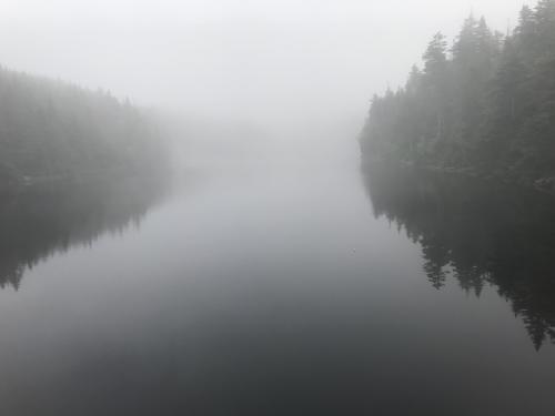 Sterling Pond VT. Had to climb 3 miles up to get here while the clouds were still low around the peak. Totally silent up here.