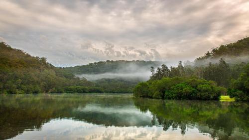 Misty Morning at Berowa Creek