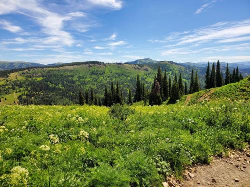 Red Butte, ID