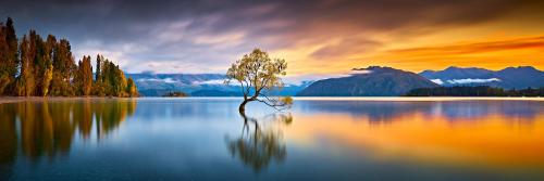 Lake Wānaka &amp; It's Willow Tree...