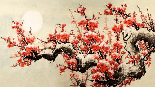 Cherry blossom tree