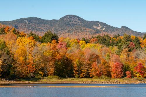 Adirondack Foliage along the Shores of Indian Lake, NY last week