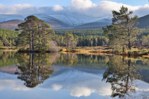 lochan nan Geadas , Cairngorms, Scotland on a perfectly still and icy morning. The first snow of winter and the Caledonian forest reflected in the small loch.