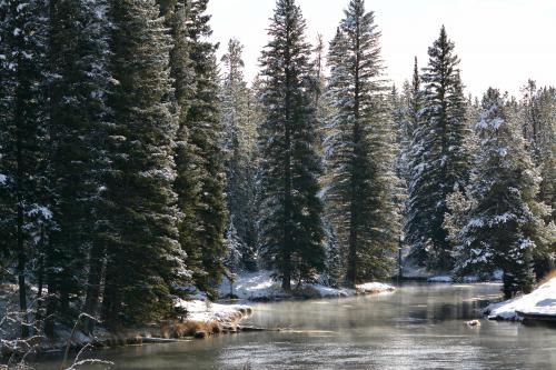 Big Springs - Source of the Henrys Fork Snake River, ID, USA