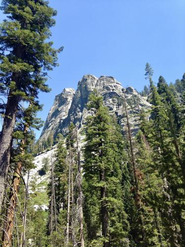 Beneath a fortress of granite, Sequoia National Park, CA