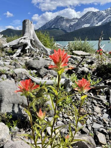 Upper Kananaskis Lake, Alberta Canada