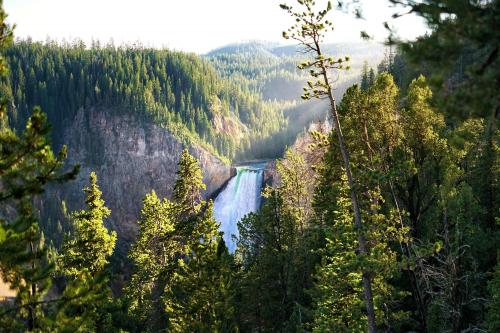 Evening Light at Yellowstone Falls