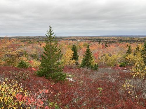 Fall colors in Nova Scotia, Canada