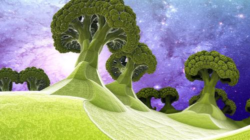 Broccoli Planet