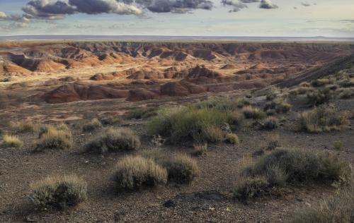 The painted desert of Petrified Forest National Park