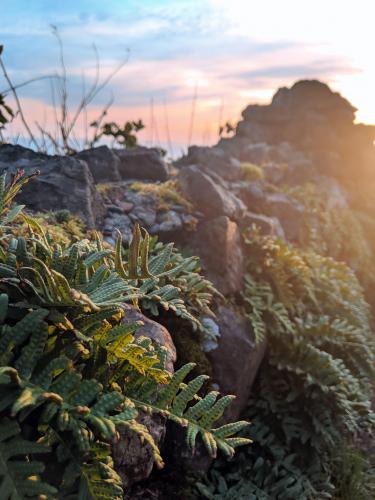 Chasing the golden hour along the Oregon Coast