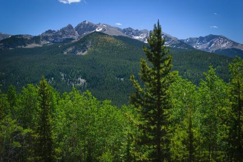 A great day in the wild Williams Mountains, CO USA