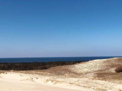 Sand dunes, spruce forest and sea in Lithuania