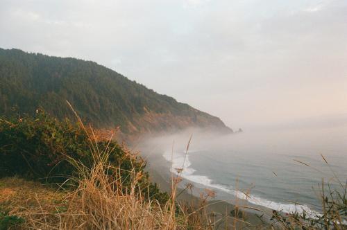 Humbug Mountain State Park, Oregon, USA.