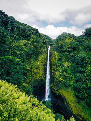 Akaka Falls, Big Island of Hawaii