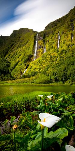 Poço Ribeira do Ferreiro, Flores Island, The Azores