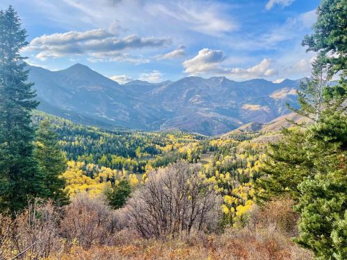 American Fork Canyon, UT in Fall [4032 x 3024] 