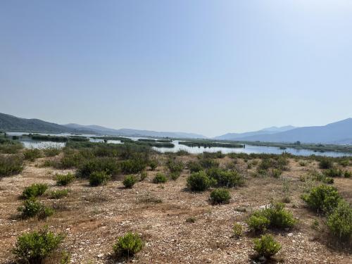 Found here while hiking, lake in Belevi,Izmir/Turkey