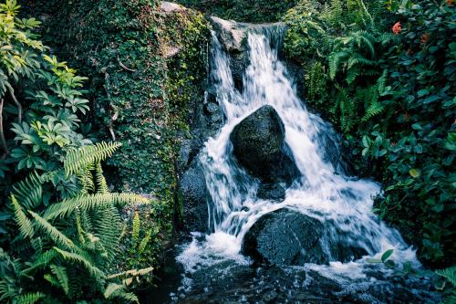 Hyatt Regency Waterfall, Oranjestad Aruba