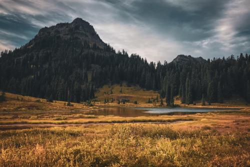 Tipsoo Lake, Mt Rainier, Washington