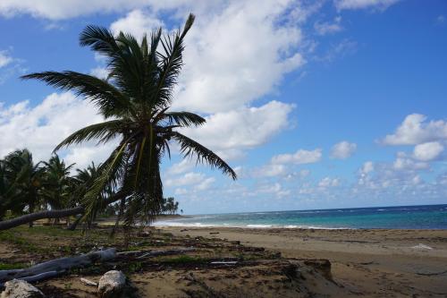 Playa Lava Cama , Dominican Republic; October 10, 2022   photo by Rodrick Rainey