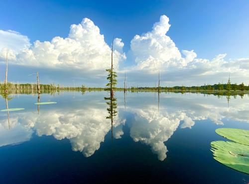 Black Bayou Lake National Wildlife Refuge; Monroe, Louisiana
