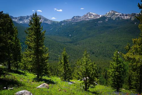 Wild valley in the Rockies, USA. Seldom seen