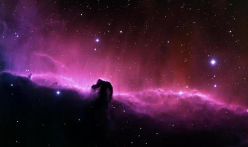 😲WILD HORSE This stunning image of the Horsehead Nebula, in the constellation Orion, was captured by a telescope at the Kitt Peak National Observatory in Arizona🤘