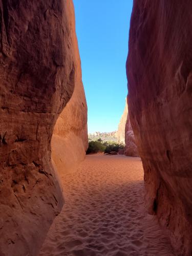 View from the Sand Dune Arch trail at Arches NP - Utah, USA