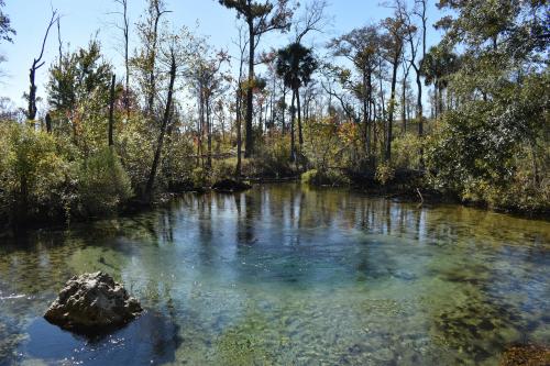 Williford Spring - Youngstown, FL