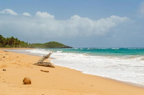 A wild beach near Playa Lanza del Norte, Dominican Republic