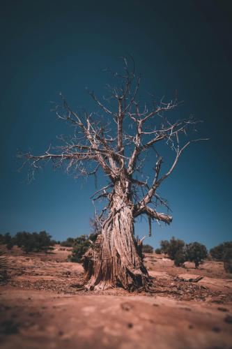 Navajo Nation, New Mexico  ID: JoeGoodz