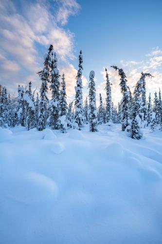 Went for a hike at 1 pm in Fairbanks, Alaska