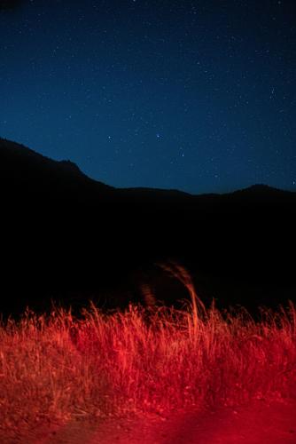 Colorful Night in California