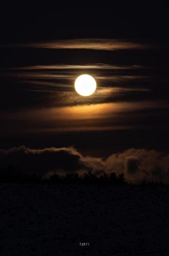 Rising moon. North east Poland